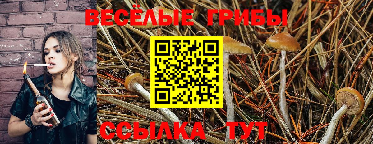 Галлюциногенные грибы прущие грибы  Галлюциногенные грибы мухоморы  Вход с VPN  Октябрьский 