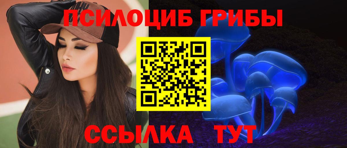 Псилоцибиновые грибы мицелий Октябрьский